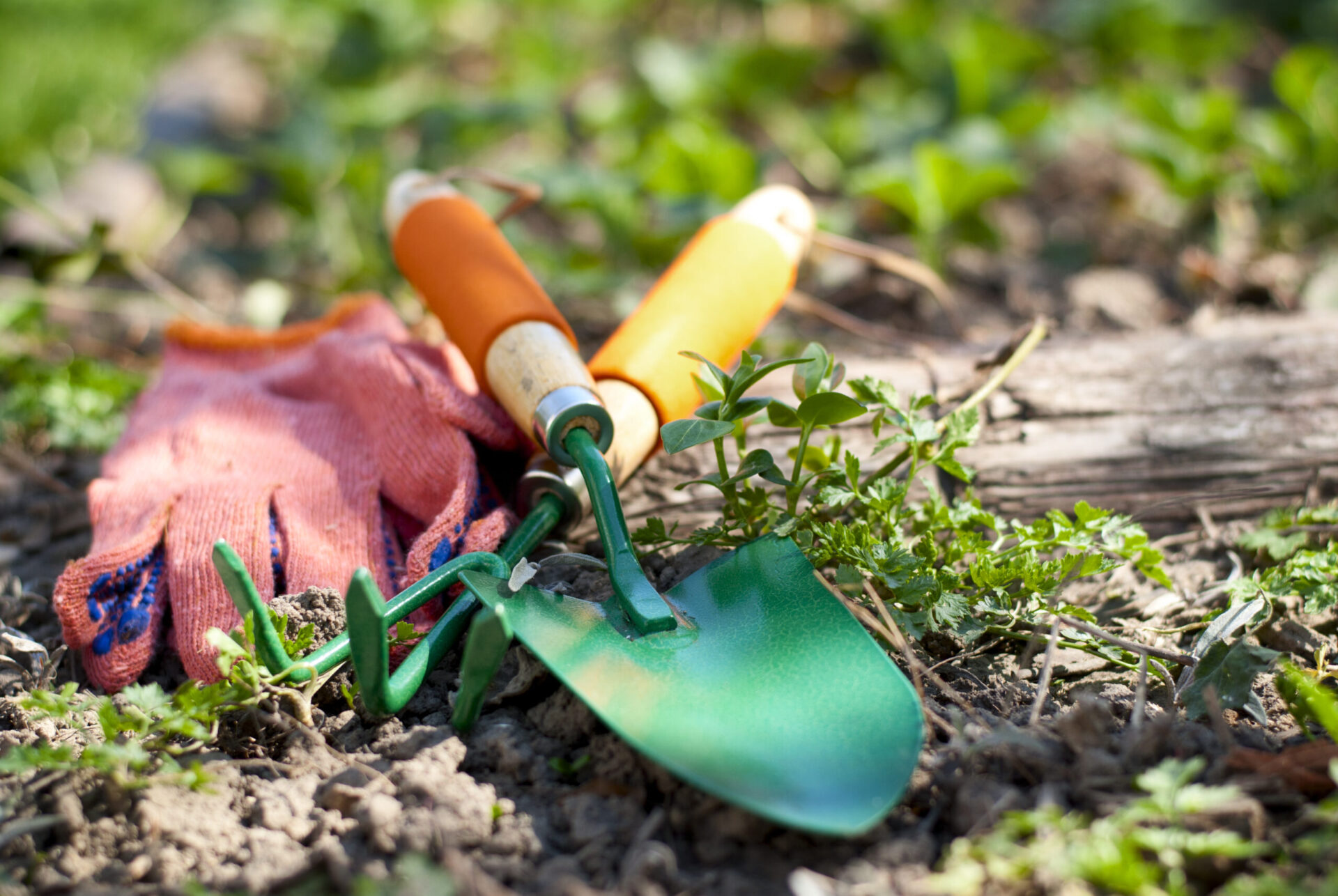 Garden Tools, Gloves, Shovel and Fork on a Garden Lawn in a home in Kent